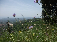 Portella_Calanna - 20110605 094.jpg